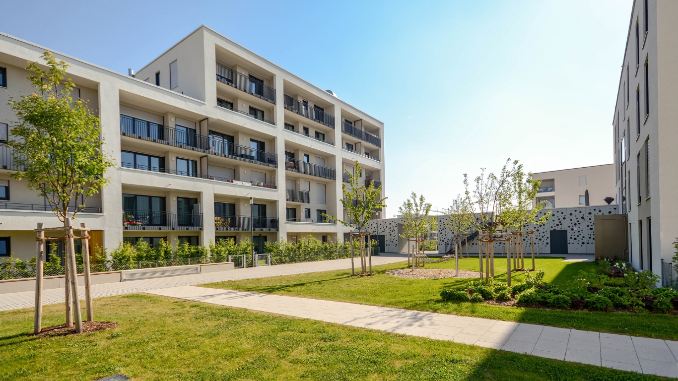 Untitled (250 x 150 px)